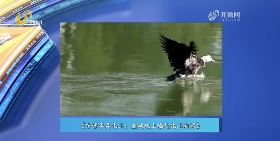 《走进深蓝》：东营华泰化工——盐碱地上崛起化工新城