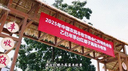 高粱红了！这不仅是丰收，更是酒里藏不住的土地深情