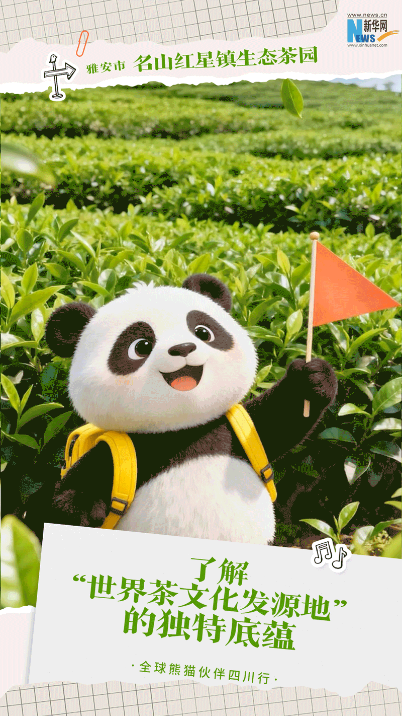 公募大咖展望明年行情 最可能赚盈利稳定的钱