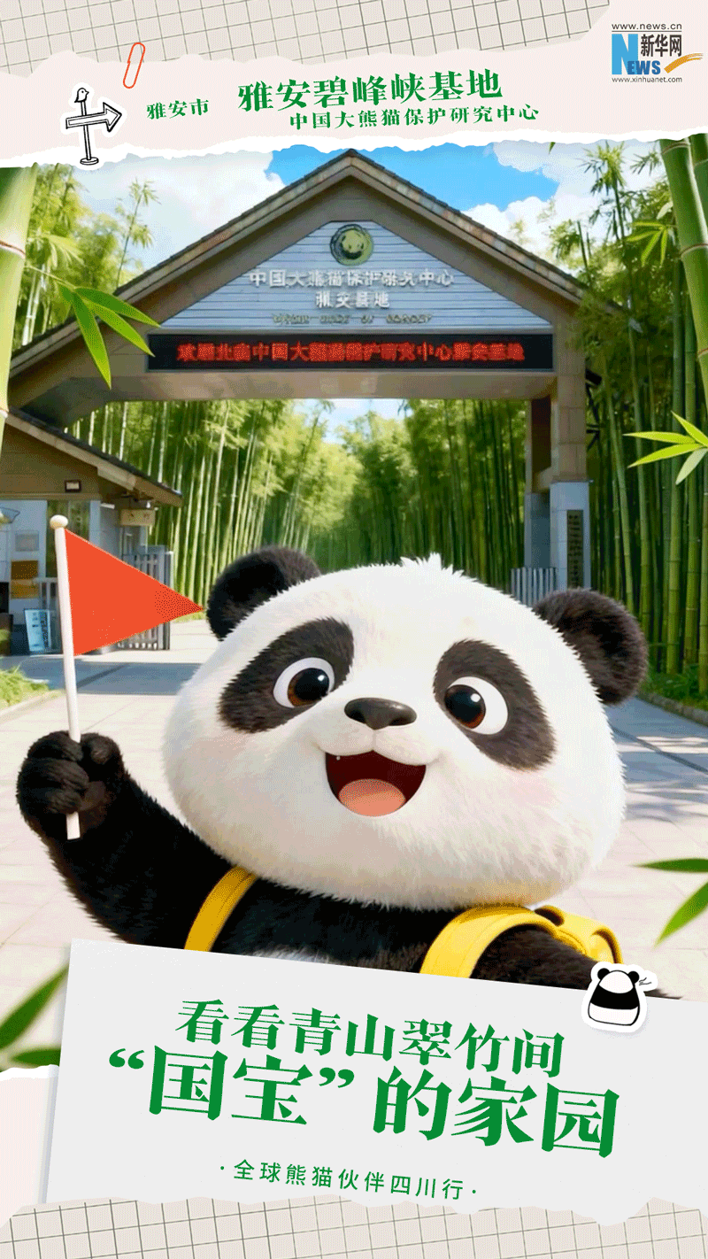 公募大咖展望明年行情 最可能赚盈利稳定的钱