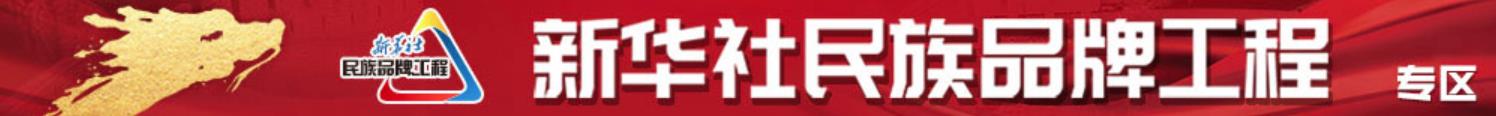 民族品牌专区链接