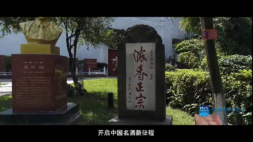“浓香鼻祖”底气何来？