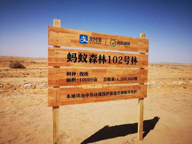 甘肃敦煌支付宝蚂蚁森林102号林指示牌